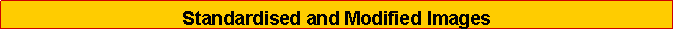 Text Box: Standardised and Modified Images